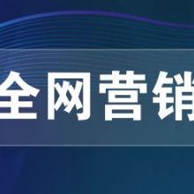 網絡推廣、網絡營銷與網絡技術服務 構建數字化時代的商業引擎